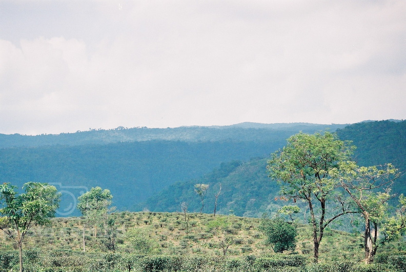 F1010031_001.jpg