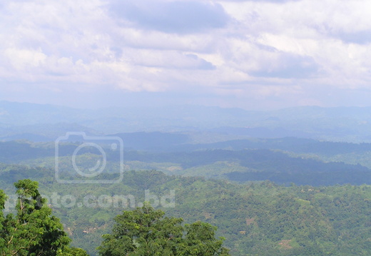 WideView